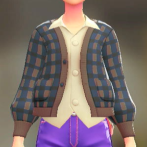 カーディガン＆シャツセット こうしがらネイビー｜アイボリー 2300円