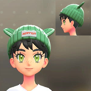 ポケみみニットキャップ ハリマログリーン 20000円