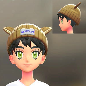 ポケみみニットキャップ ブイブイブラウン 20000円