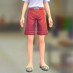 ショートテーパードセット ビビッドレッド|ビビッドレッド 14000円