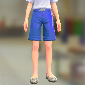 ショートテーパードセット ビビッドブルー|ビビッドブルー 14000円