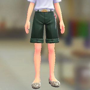 ショートテーパードセット ダマスクグリーン|ムーングレー 5000円