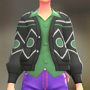 Dessert petit カーディガン&シャツセット サイケブラック|エメラルドグリーン 6500円