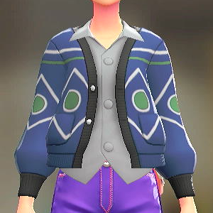 Dessert petit カーディガン&シャツセット サイケブルー|グレー 6500円