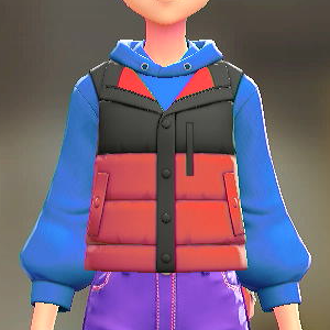ダウンベスト&パーカーセット バイカラーレッド|ブルー 2500円