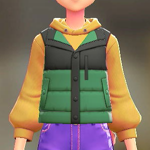 ダウンベスト&パーカーセット バイカラーグリーン|イエロー 2500円