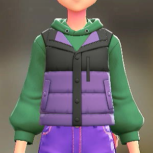 ダウンベスト&パーカーセット バイカラーパープル|グリーン 2500円