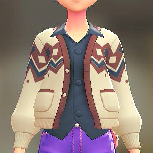 カーディガン＆シャツセット	こなふきアイボリー｜ネイビー	2800円