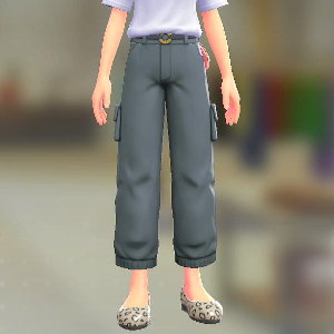 カーゴパンツ	ブルーグレー	2300円