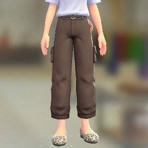 カーゴパンツ	ダークブラウン	2300円