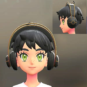 ヘッドホン	ブラック	4300円