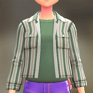 シャツ＆Tシャツセット	ストライプグリーン｜オリーブ	1900円