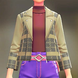 BRAVELY ライダースジャケットセット ブレイブリーグレー|ワインレッド 11000円