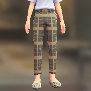 BRAVELY テーパードパンツセット ブレイブリーグレー|ダークブラウン 8500円