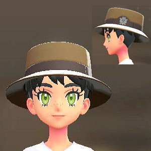 BRAVELY カノチェ ブラウン 6000円