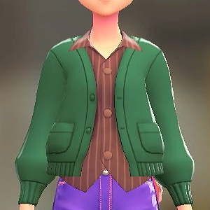 カーディガン&シャツセット グリーン|ストライプブラウン 2600円