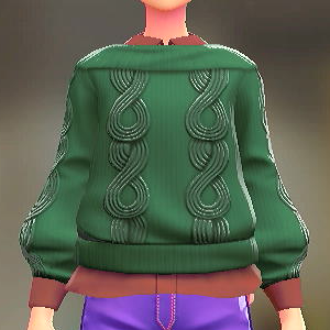 セーター&シャツセット グリーン|ボルドー 3000円