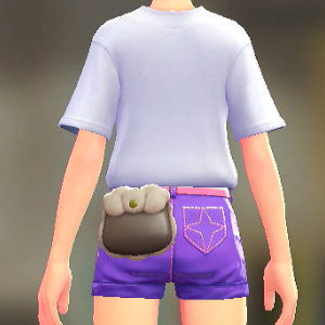 ボアポーチ	ダークブラウン	2000円