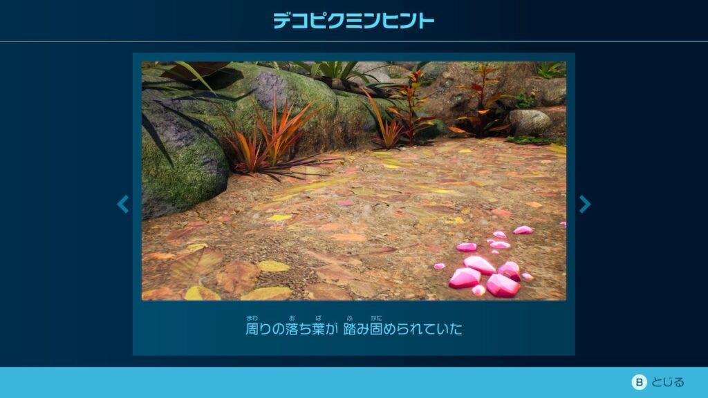 ピクミン_デコピクミンヒント「周りの落ち葉が 踏み固められていた」