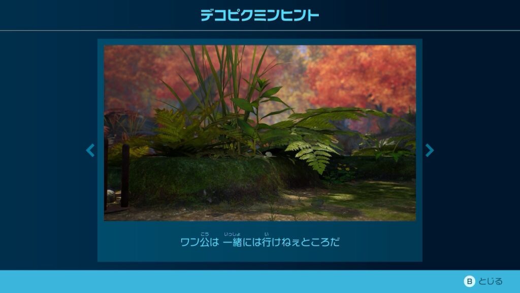 ピクミン_デコピクミンヒント「ワン公は 一緒には行けねぇところだ」