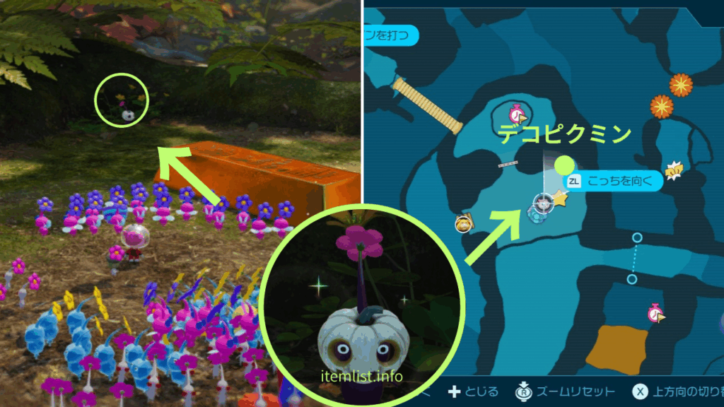 ピクミン_「追憶の原生林 」ワン公は 一緒には行けねぇところだ