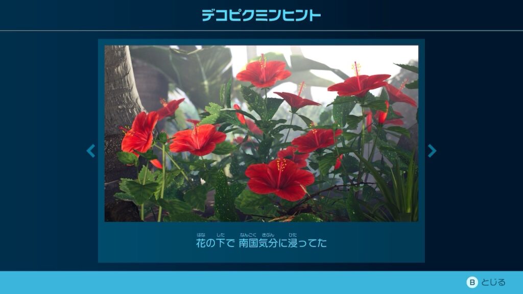 ピクミン_デコピクミンヒント「花の下で 南国気分に浸ってた」