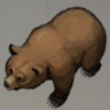 ほの暮しの庭_クマの狩猟免許