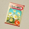 ほの暮しの庭_カモミールの種