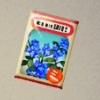 ほの暮しの庭_勿忘草の種