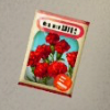 ほの暮しの庭_カーネーションの種