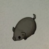 ほの暮しの庭_家畜_子ブタ/黒