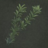 ほの暮しの庭_廃材_水草