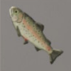 ほの暮しの庭_魚_ニジマス