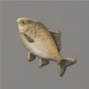 ほの暮しの庭_魚_フナ