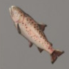 ほの暮しの庭_魚_イトウ