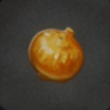 ほの暮しの庭_作物_タマネギ