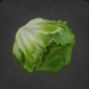 ほの暮しの庭_作物_レタス
