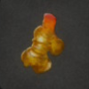 ほの暮しの庭_作物_ショウガ