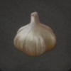 ほの暮しの庭_作物_ニンニク