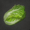 ほの暮しの庭_作物_ハクサイ