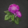 ほの暮しの庭_花_アサガオ