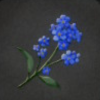 ほの暮しの庭_花_勿忘草