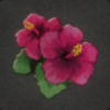 ほの暮しの庭_花_ハイビスカス
