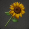 ほの暮しの庭_花_ヒマワリ