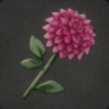 ほの暮しの庭_花_ダリア