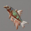 ほの暮しの庭_魚_祟られオイカワ