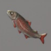 ほの暮しの庭_魚_祟られアユ